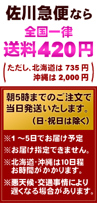������ؤʤ�����300�ߥ����ڡ������