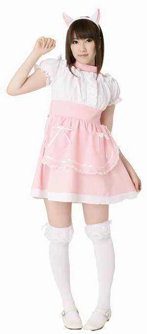 �ͥ����ᥤ�ɥѥ���������ʣ̣�����ˡ�462668��