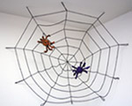 5ft Glitter Spider Net - Black���ʥ��饭��Υ�����㡡���ˡ�802488��