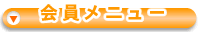 �ѡ��ƥ������å�.jp �����˥塼